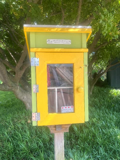 Springtime library