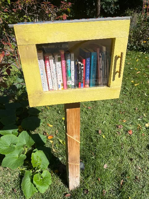 Little Yellow Library library