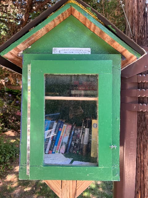 little greenie library